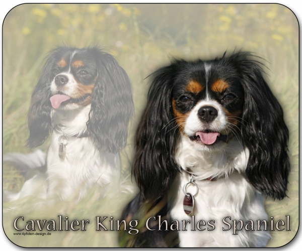 Mousepad Cavalier King Charles Spaniel